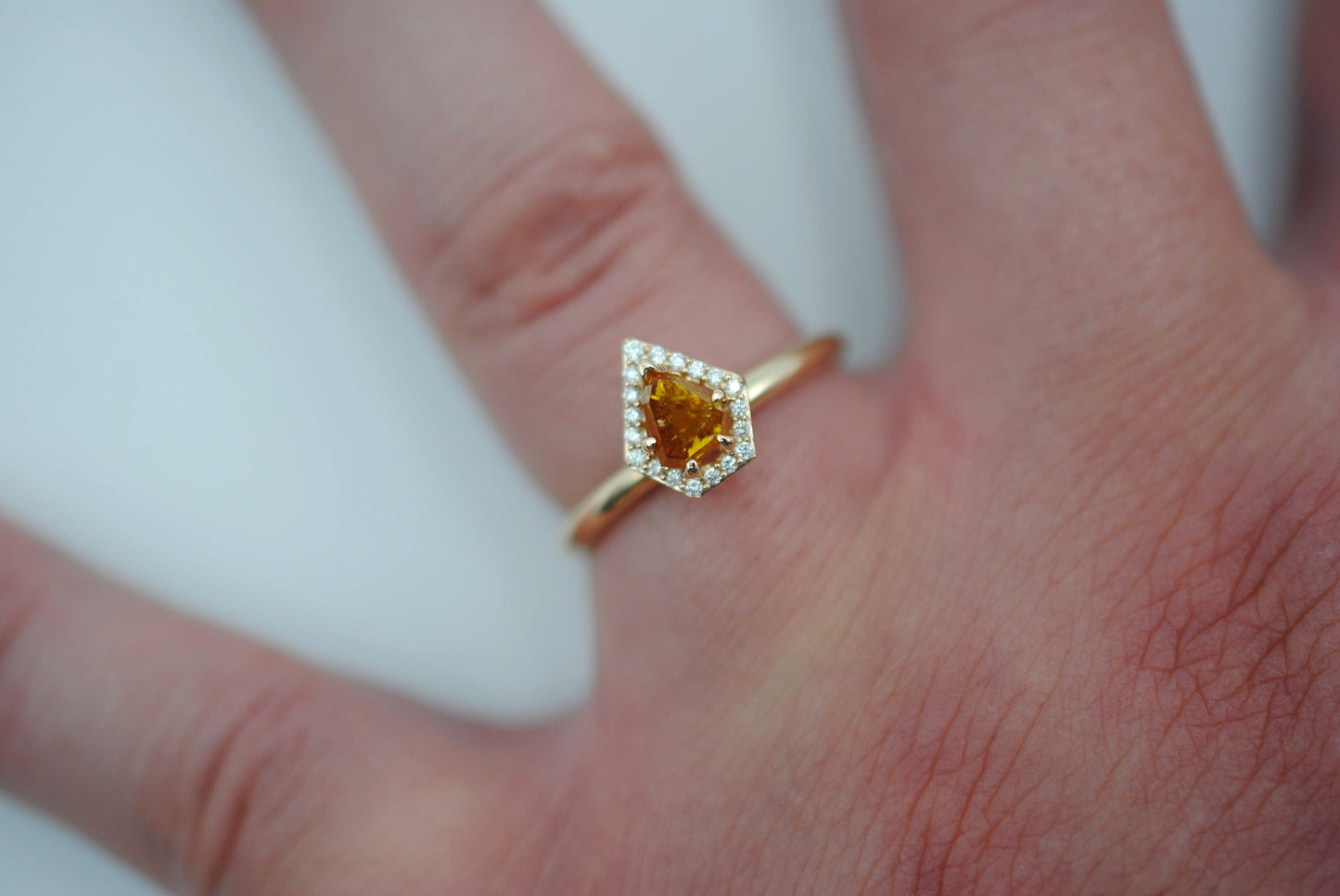 Salt and Pepper Ring : Shield Cut, Diamond Halo, 14K Yellow Gold