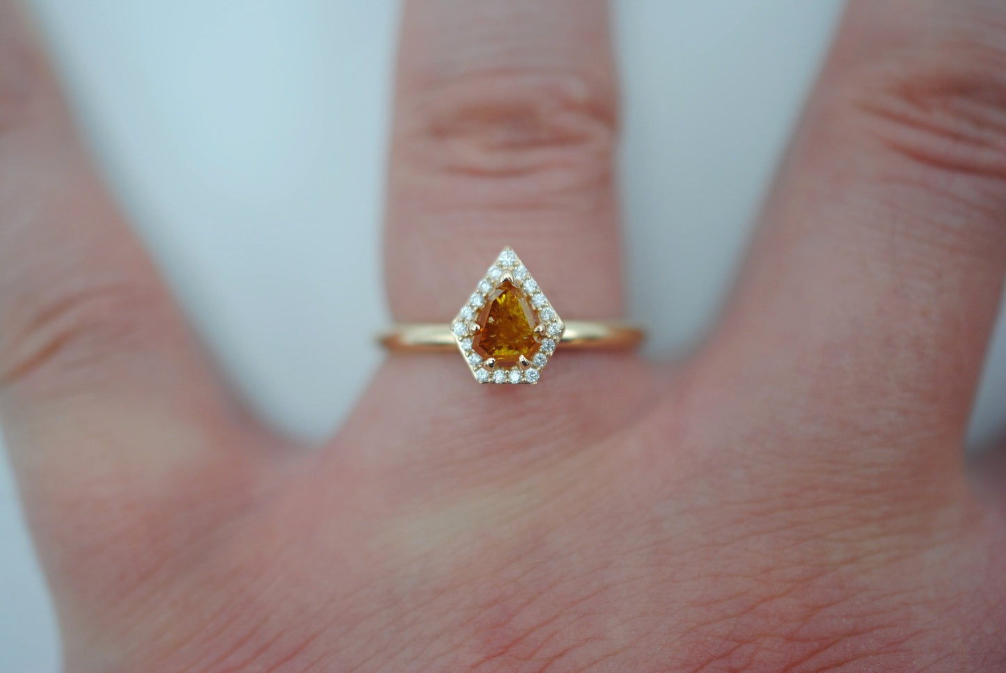Salt and Pepper Ring : Shield Cut, Diamond Halo, 14K Yellow Gold