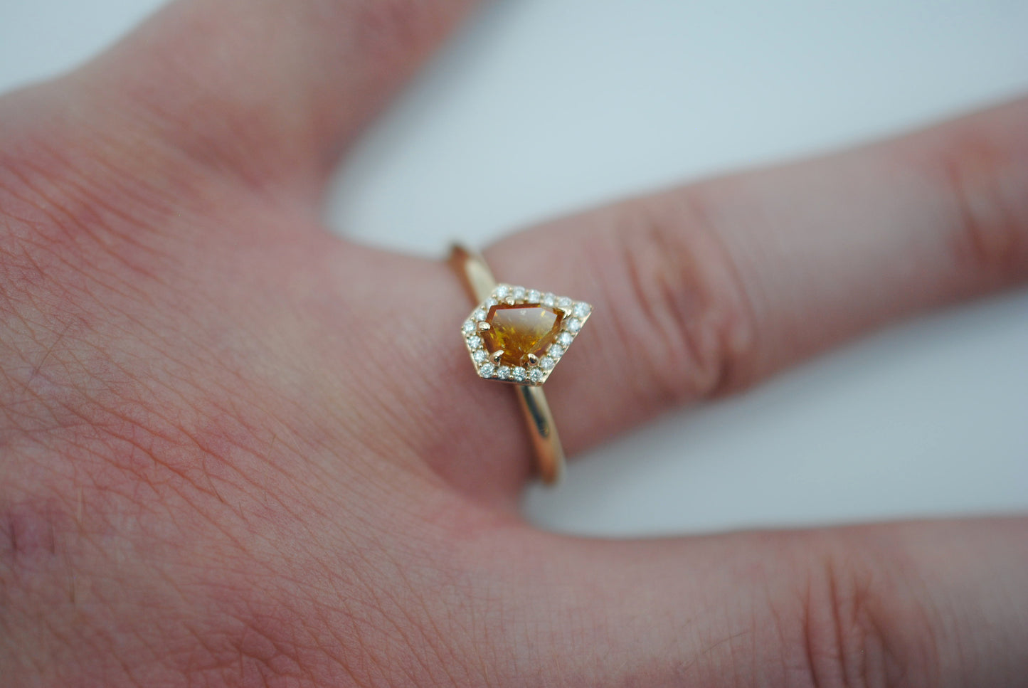 Salt and Pepper Ring : Shield Cut, Diamond Halo, 14K Yellow Gold