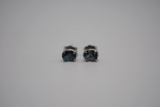 Oval Montana Sapphire White Gold Stud Earrings