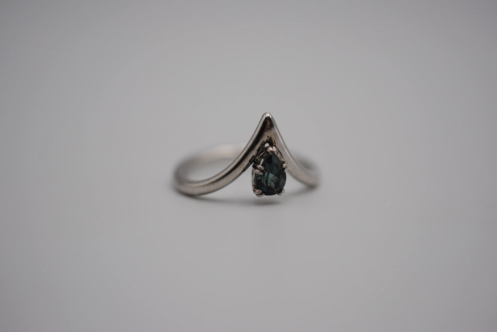Pure 925 Sterling Silver Jaguar Symbol Rhodium Plated Men's Ring – Radhamahi