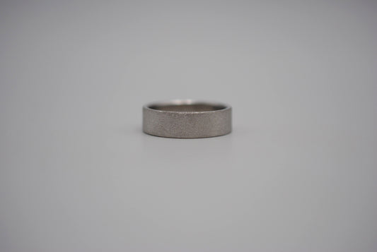 Ring Band: Stardust Texture and Rhodium Finish